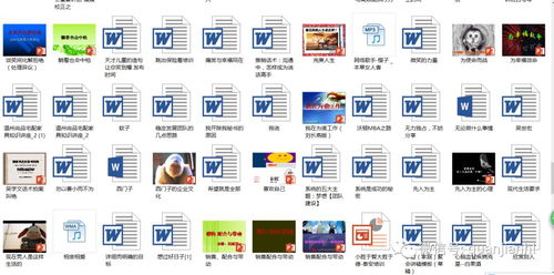 权健团队建设与教育培训资源全攻略
