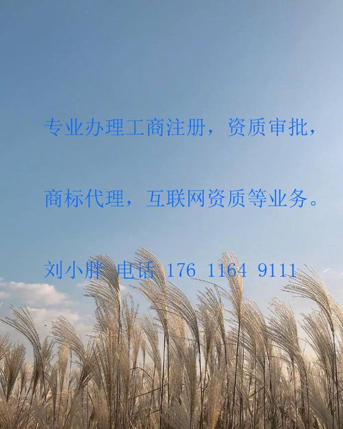 丰台成寿寺办理网络文化经营许可证（文网文）条件及加急服务指南